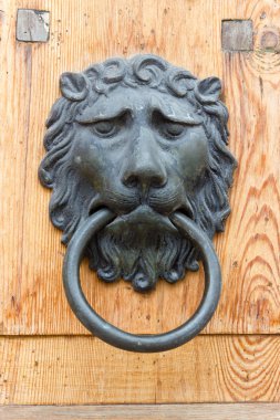 Doorknocker metal görünümü