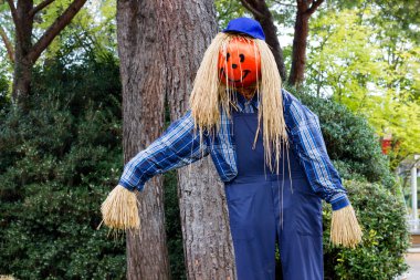 Canavarlar Cadılar Bayramı partisi için