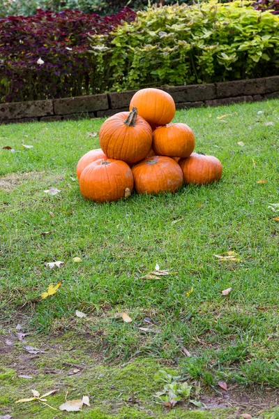 Pomarańczowe dynie halloween party — Zdjęcie stockowe