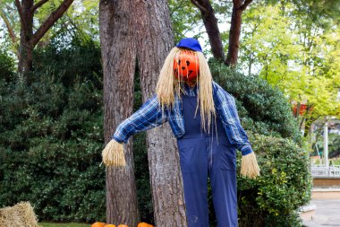 Canavarlar Cadılar Bayramı partisi için