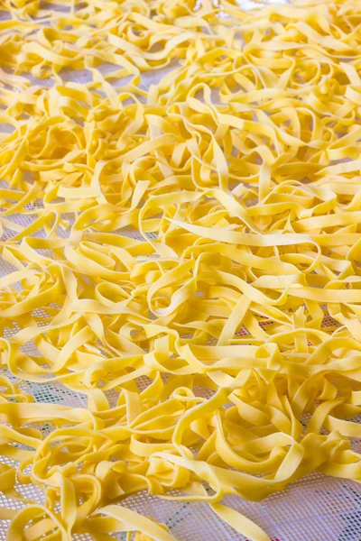 Drying real tagliatelle Emiliane — Stock Photo, Image