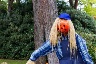 Canavarlar Cadılar Bayramı partisi için