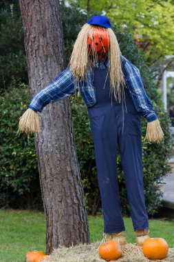 Canavarlar Cadılar Bayramı partisi için