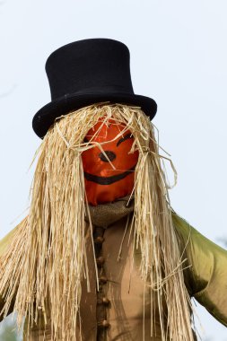 Canavarlar Cadılar Bayramı partisi için