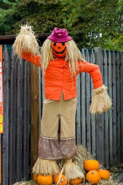 Canavarlar Cadılar Bayramı partisi için