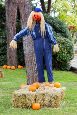 Canavarlar Cadılar Bayramı partisi için