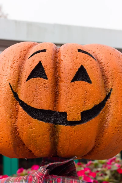 Orange pumpkins for Halloween Party