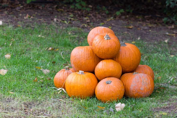 Calabazas de naranja para la fiesta de Halloween —  Fotos de Stock