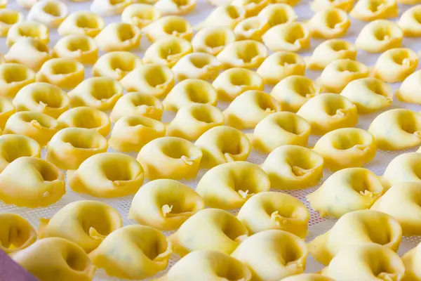 Tortelloni Bolognesi 보기 — 스톡 사진