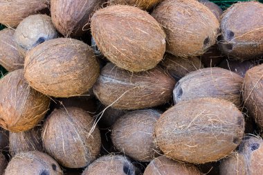 Hindistancevizi closeup görünümü