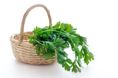 Maydanoz biyolojik bırakır