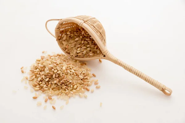 Mixture Spelled Rice Barley — Stock Photo, Image