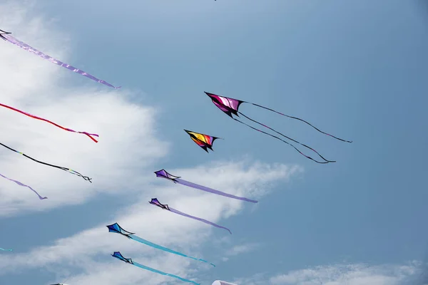 Aquiloni Con Cielo Blu Nuvole Bianche — Foto Stock