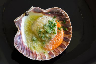 Çiğ istiridye au gratin siyah arka plan