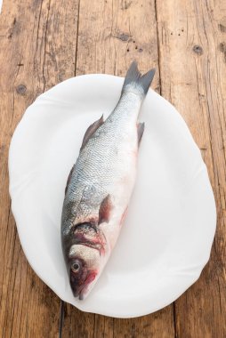 Beyaz arkaplan ile deniz levreği