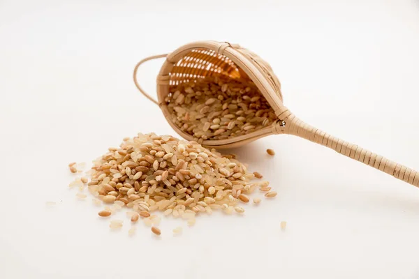 Mixture Spelled Rice Barley — Stock Photo, Image