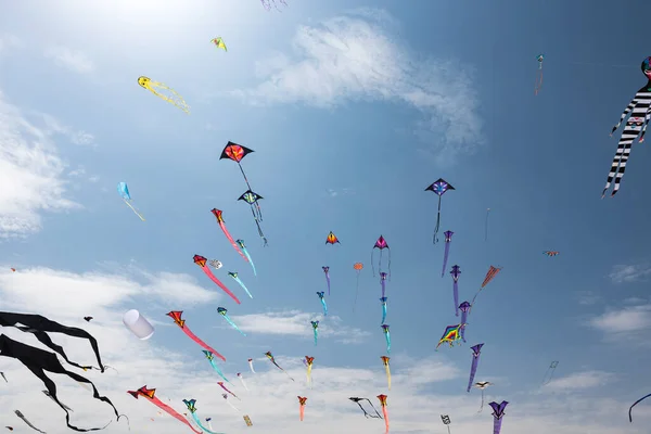 Aquiloni Con Cielo Blu Nuvole Bianche — Foto Stock