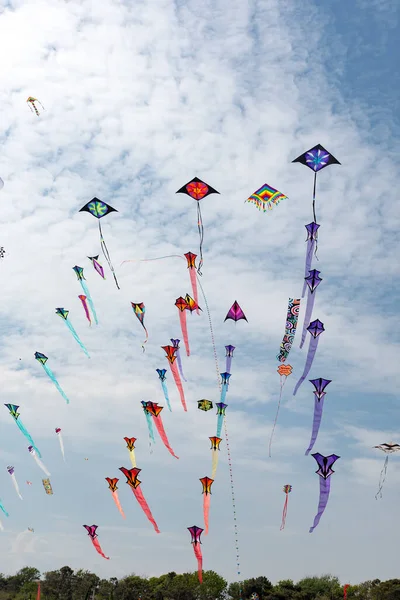 Kites Blue Sky White Clouds — Stock Photo, Image