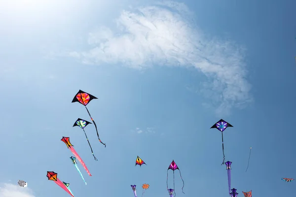 Aquiloni Con Cielo Blu Nuvole Bianche — Foto Stock