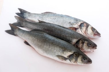 Beyaz arkaplan ile deniz levreği