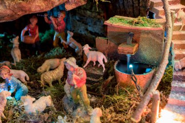 Tipik bir Noel Doğumu ayrıntıları