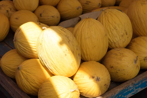 Gelbe Melonen Auf Dem Markt — Stockfoto