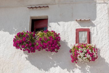 Monopoli Puglia caddesi binaları