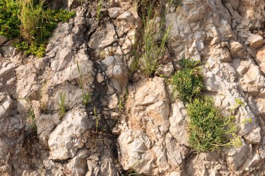 Grafik desen taş görünümü