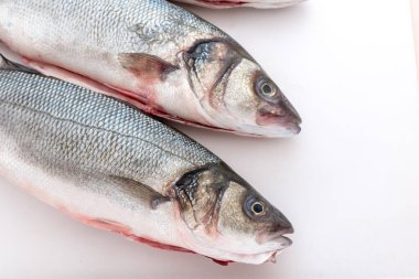 Beyaz arkaplan ile deniz levreği