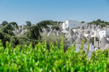 Alberobello Puglia Trulli Panorama