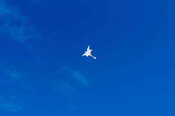 Coloridas Cometas Volando Sobre Cielo — Foto de Stock