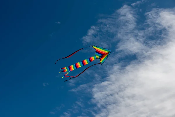 Kites Coloridos Voando Sobre Céu — Fotografia de Stock