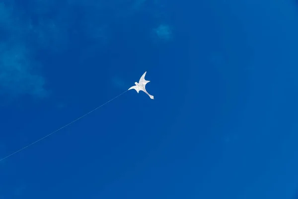 Colorful Kites Flying Sky — Stock Photo, Image