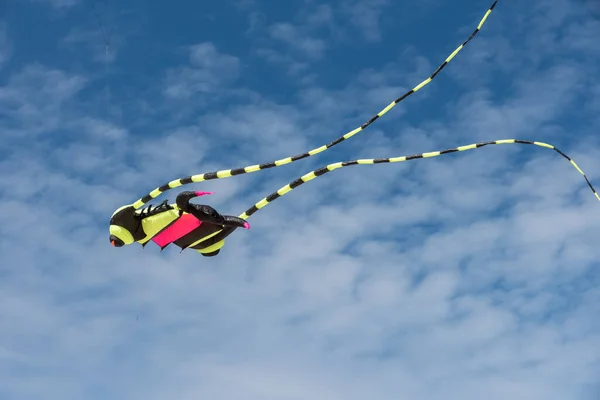 Cerfs Volants Colorés Volant Dessus Ciel — Photo