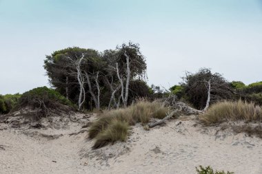 Torre dell 'orso Puglia İki kız kardeş