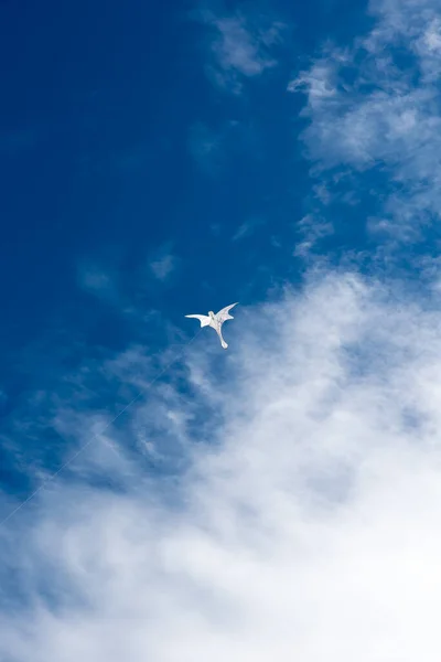 Cerfs Volants Colorés Volant Dessus Ciel — Photo