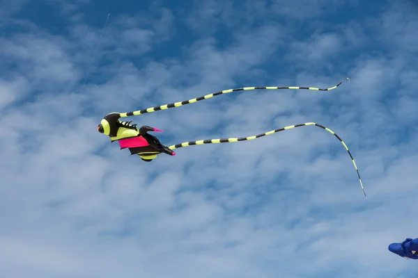 Färgglada Drakar Flyger Över Himlen — Stockfoto