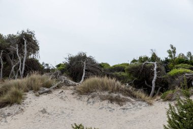 Torre dell 'orso Puglia İki kız kardeş