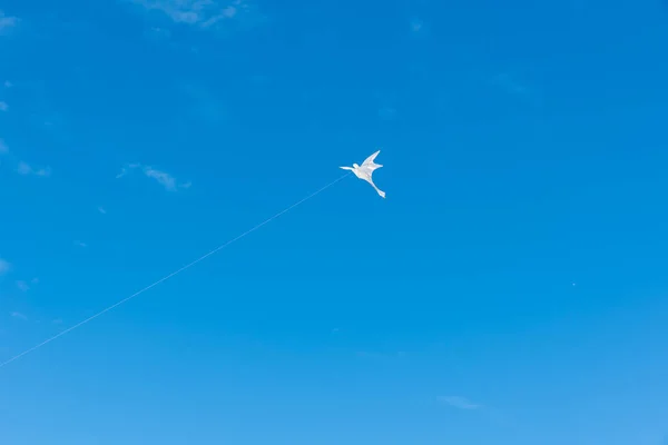 Kleurrijke Vliegers Vliegen Lucht — Stockfoto