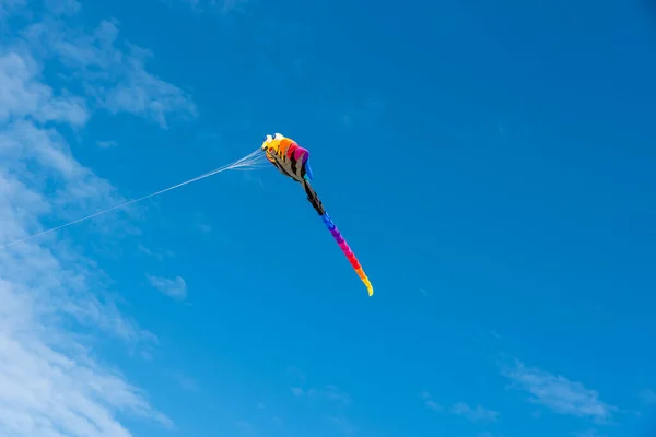 Kites Coloridos Voando Sobre Céu — Fotografia de Stock