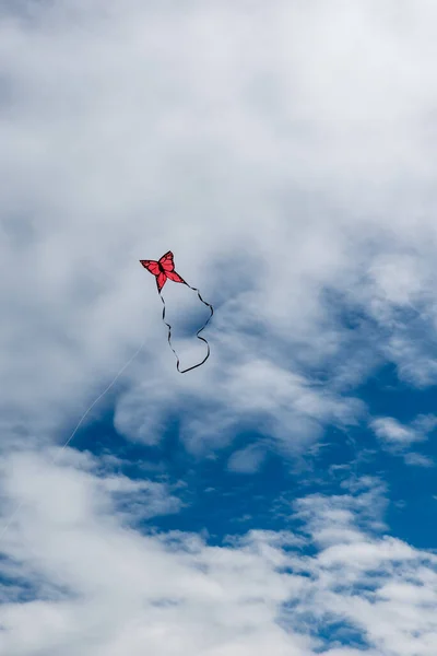 Kites Coloridos Voando Sobre Céu — Fotografia de Stock