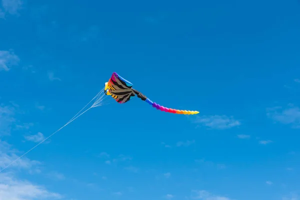 Красочные Воздушные Змеи Летающие Над Небом — стоковое фото