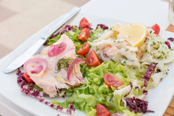 Fischsalat Mit Lachs Und Gemüse — Stockfoto