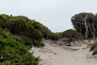 Torre dell 'orso Puglia İki kız kardeş