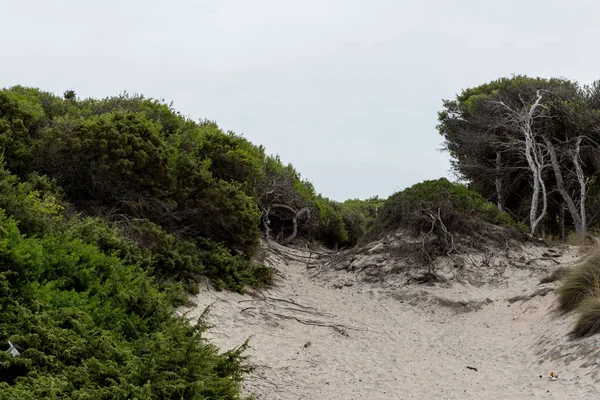 Torre Dell Orso Puglia Kız Kardeş — Stok fotoğraf