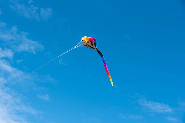 Kites Coloridos Voando Sobre Céu — Fotografia de Stock