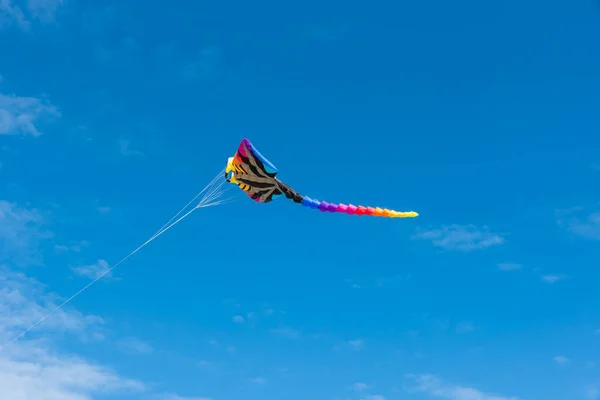 Kites Coloridos Voando Sobre Céu — Fotografia de Stock