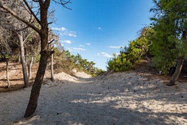 Punta Prosciutto Puglia plajı