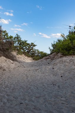 Punta Prosciutto Puglia plajı