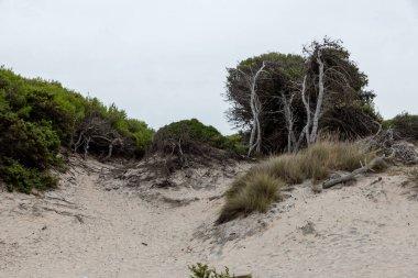 Torre dell 'orso Puglia İki kız kardeş